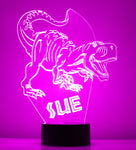 Custom Dinosaur Night Lights with Name / 7 Color Changing LED Lamp III22